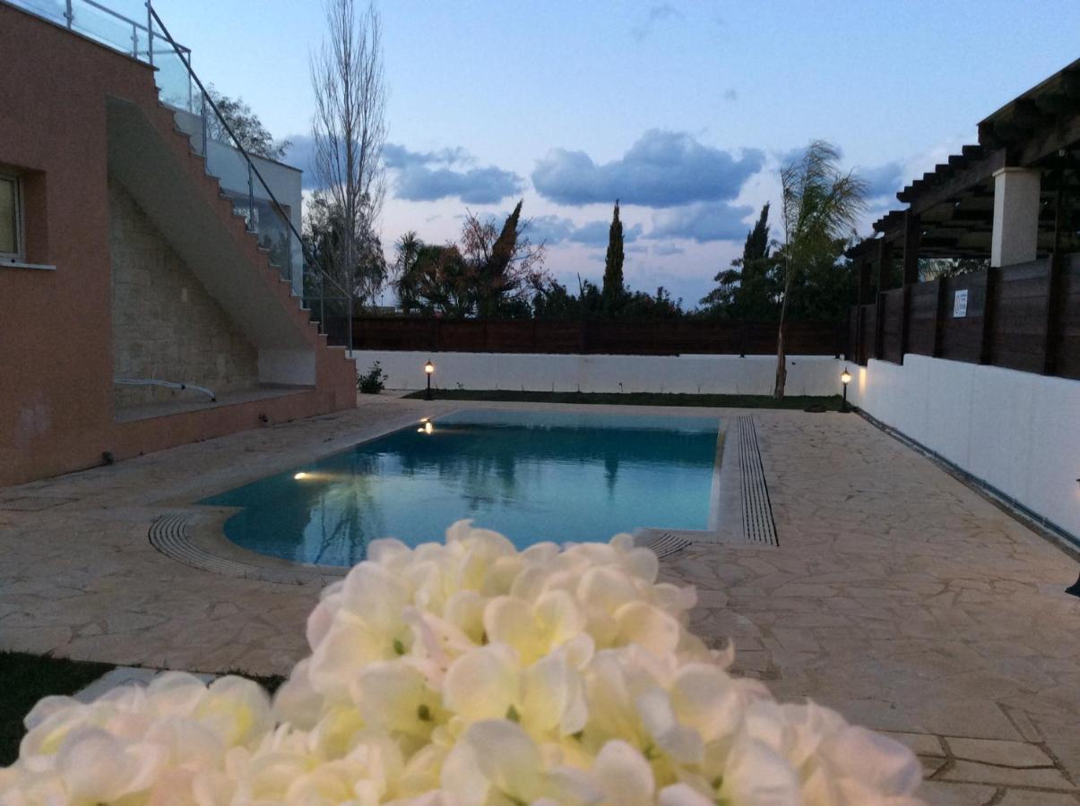 Dream House Latchi Villa Polis Екстер'єр фото